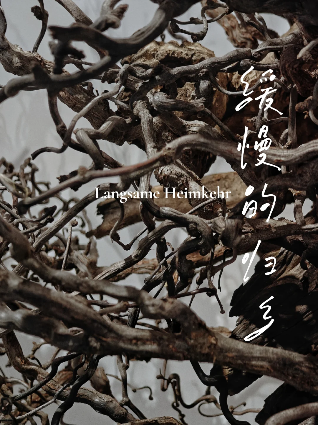 归乡，是回到你我的精神家园