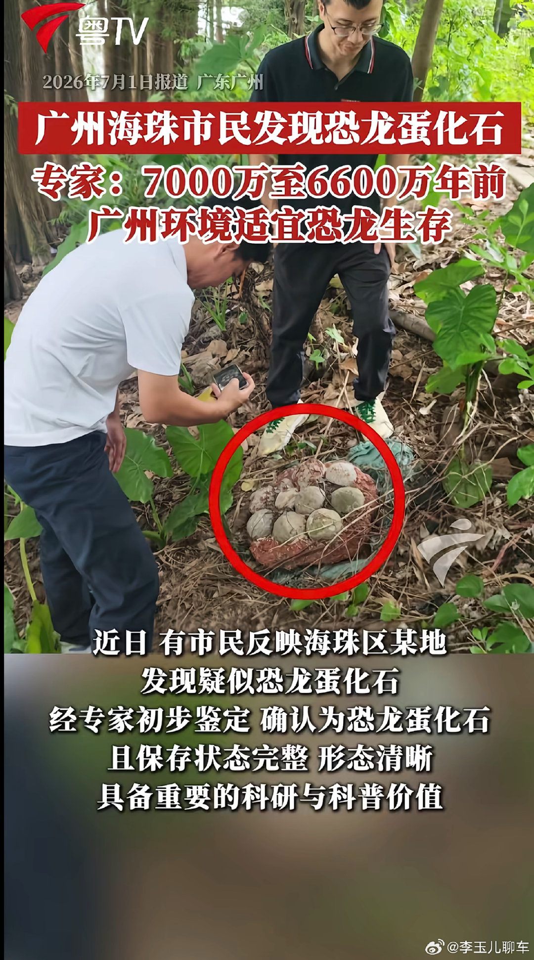 #广东小孩哥家门口捡到6500万年前恐龙蛋#
很厉害！奖励两套暑假作业！ ​