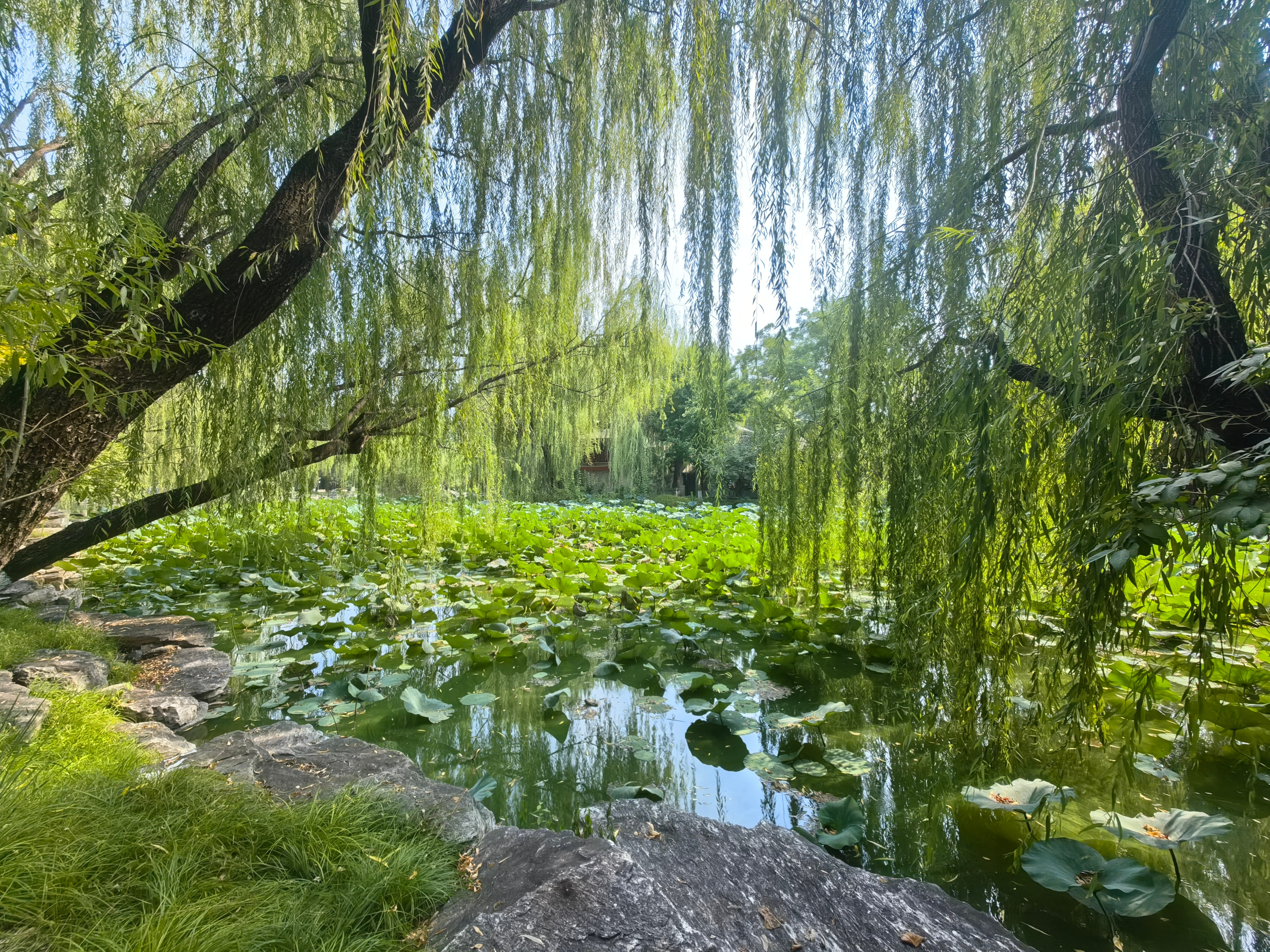 每天早出晚归。和小区门口保安刚好对班。每天早晚都碰上。今天他问我，老哥在哪里上班啊？每天比我这保安上班时间还长？我说，都是打工人，差不多吧。 ​​​