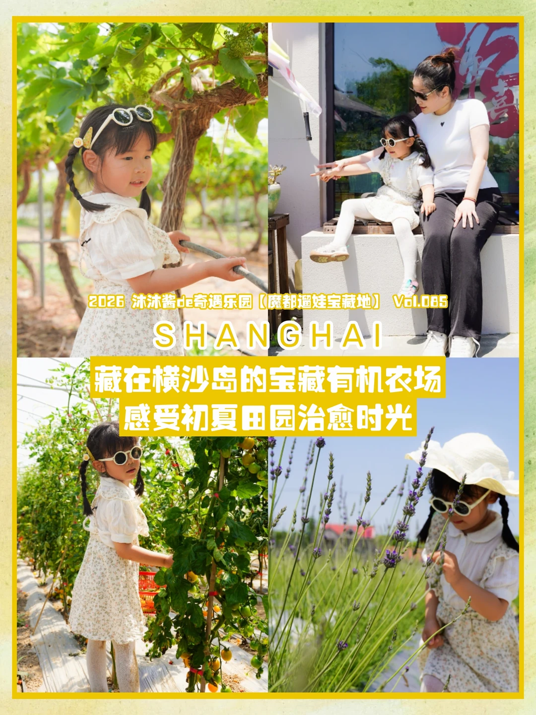 魔都遛娃85｜横沙岛体验温度的公益农场