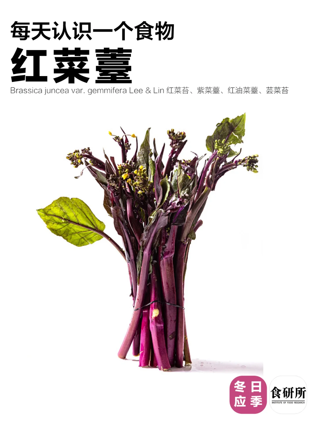 没吃过？先！赶紧！设法！吃吃红菜薹