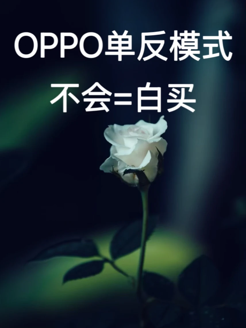 OPPO拍照堪比单反📷专业模式拍照技巧｜收藏