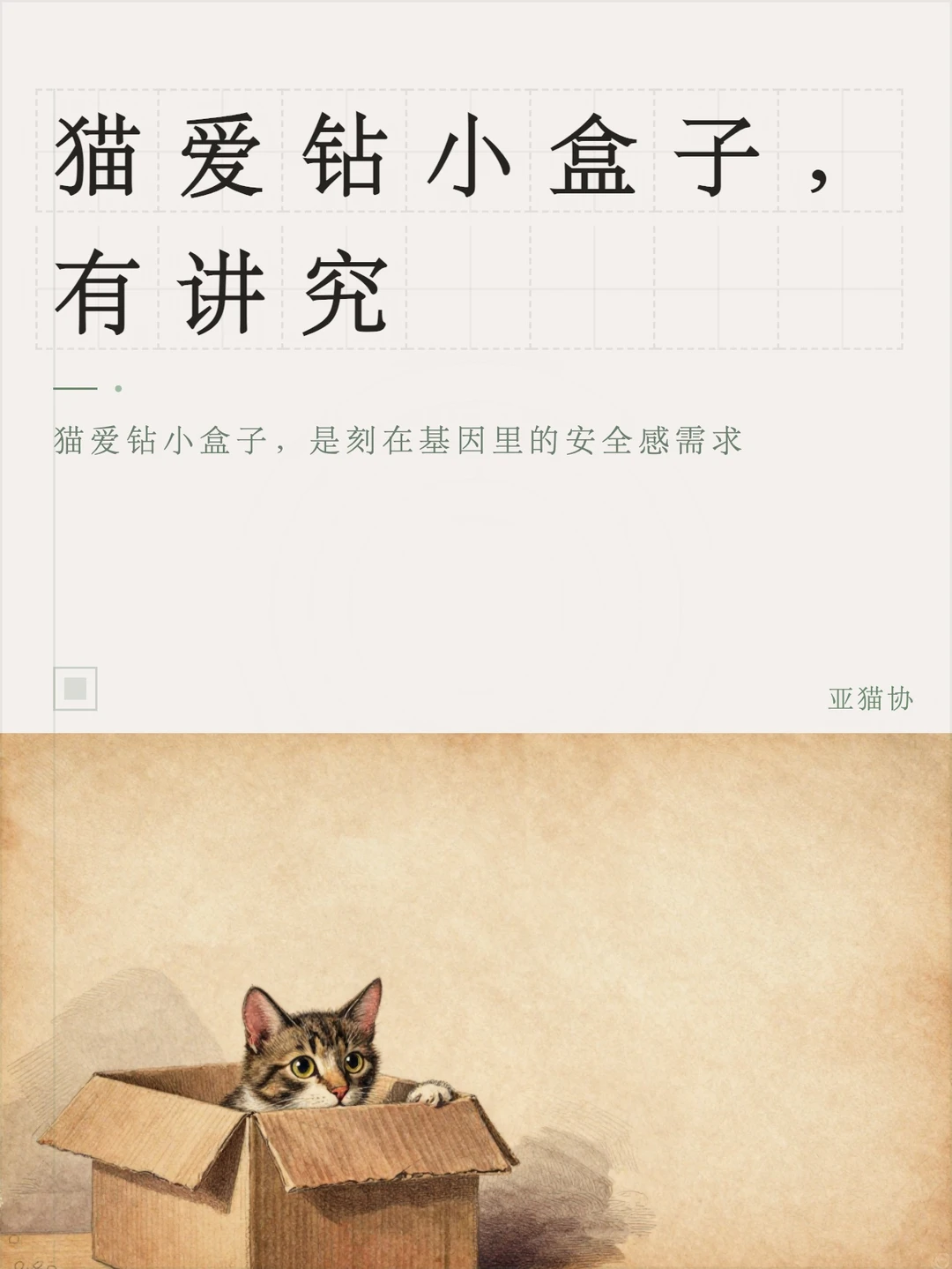 猫爱钻小盒子，有讲究