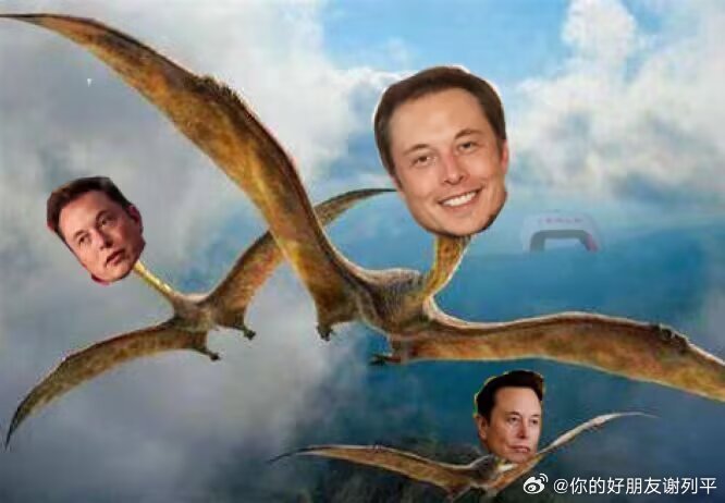 拿出我珍藏已久的翼龙马斯克 ​