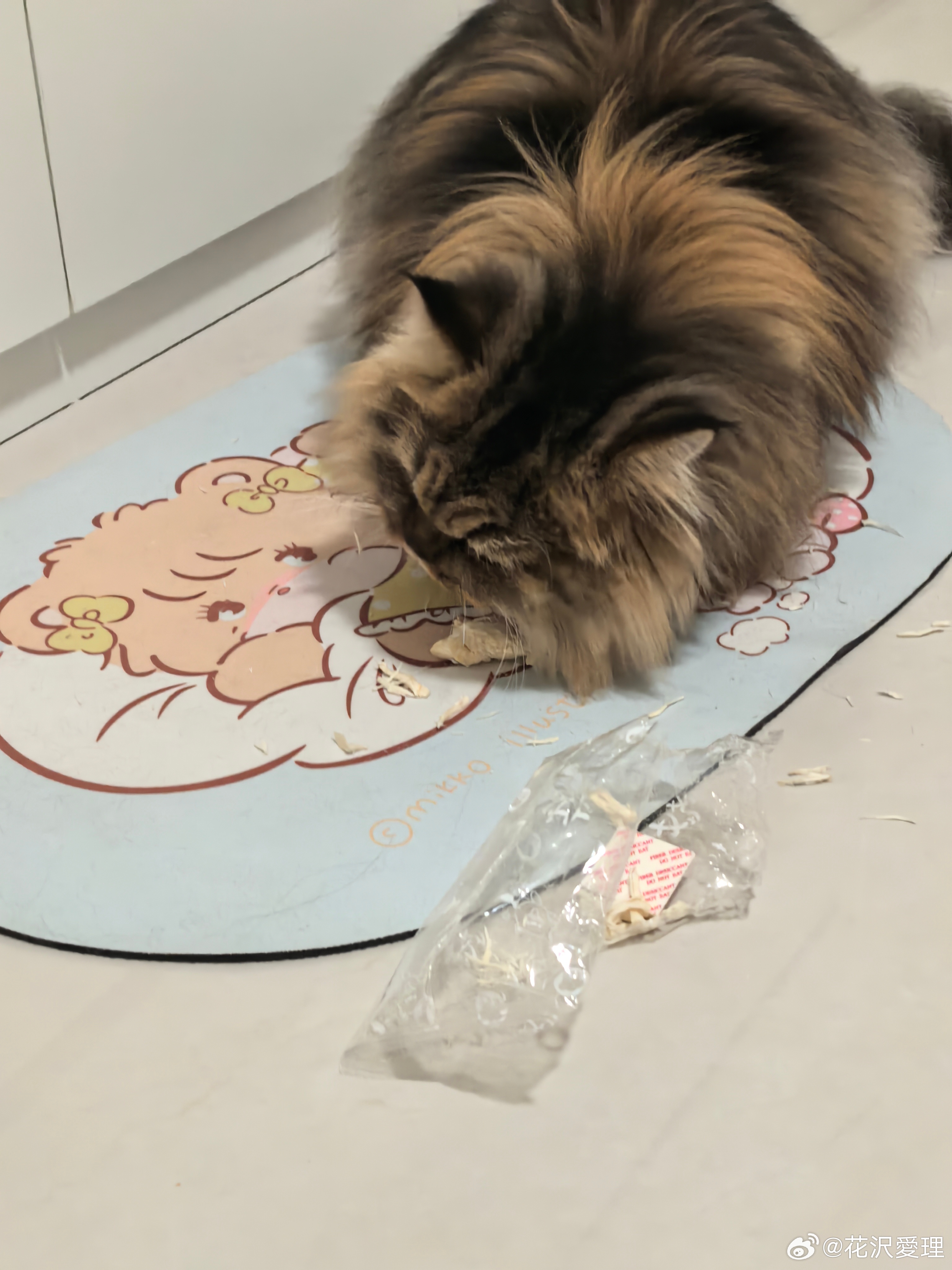 好事 有了新成员 添可洗地机

坏事 我爸早上灵机一动打扫卫生结果吸到兜兜掉在外面的💩不自知 
我晚上为了试一下新的清洁液 在这卡在滚刷里的💩拖完地后进行清洗滚刷自洁功能 给💩就行了高温加热并烘干 搞了我3h卫生
我以为只有扫地机器人会出现的情况 没想到瞎子配上洗地机一样能有拖💩机的效 ​