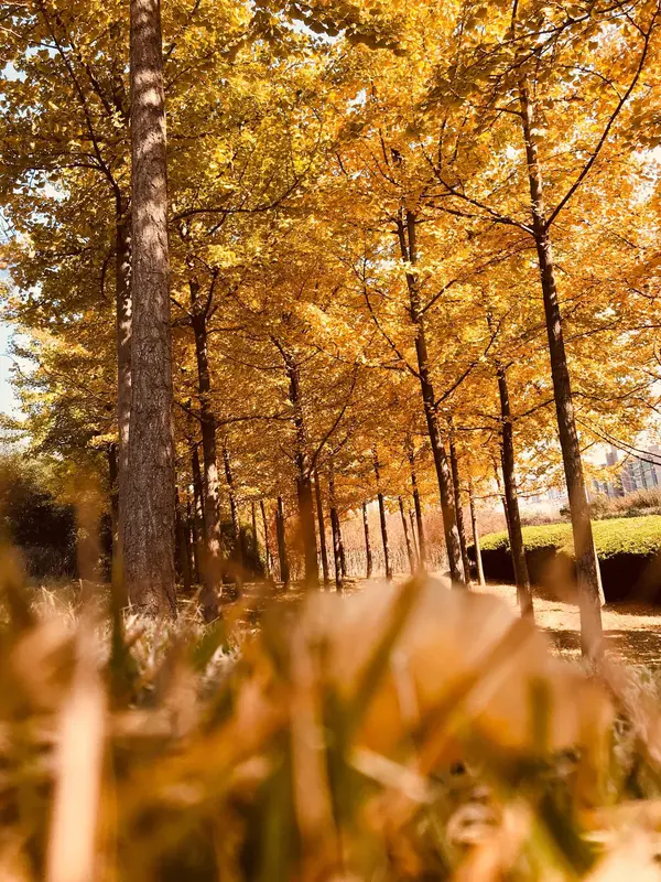 分享趣事。朋友就像生活调味剂，能让平淡日子变得有滋有味。当你和朋友分...