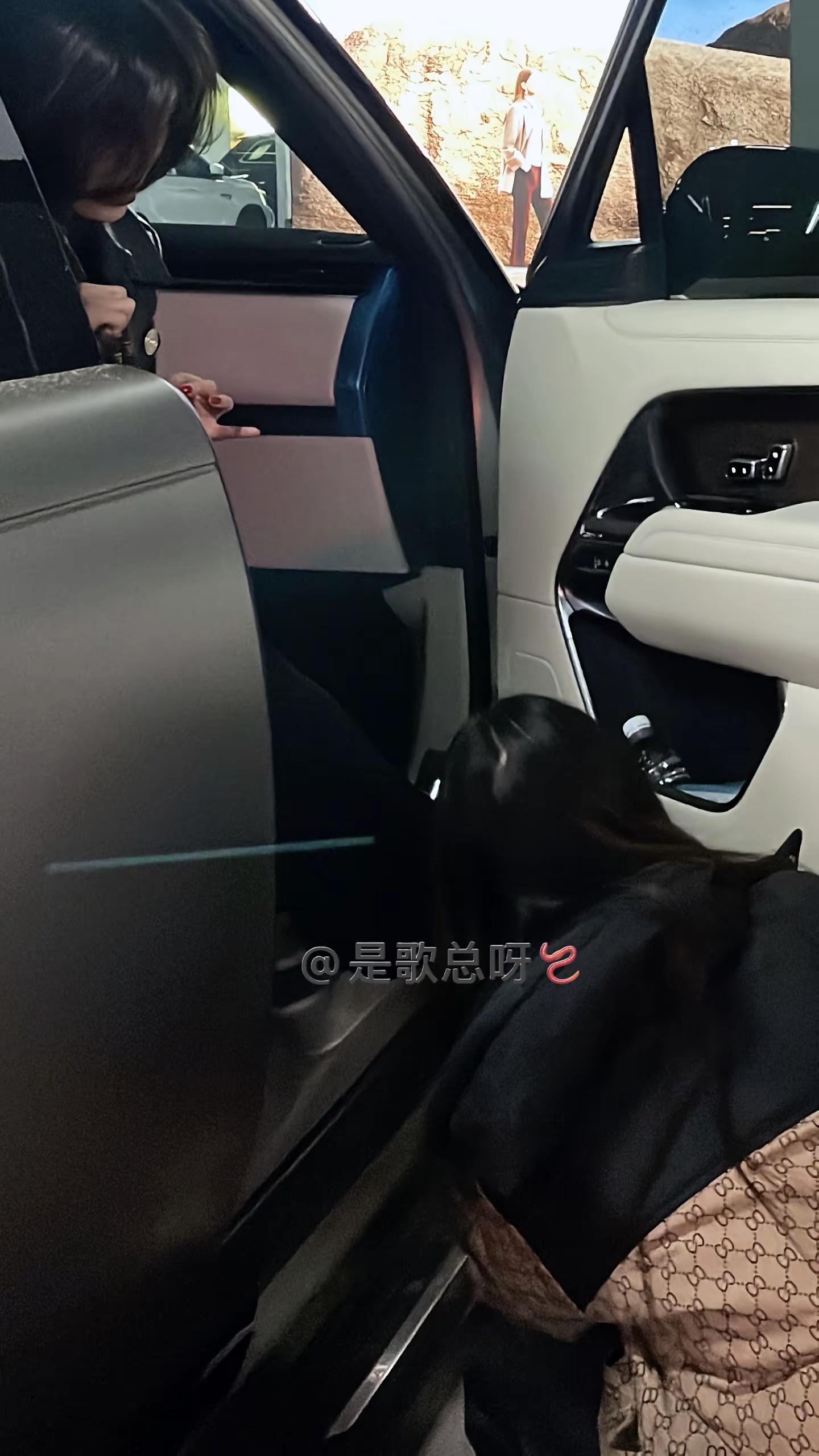 生活不易，喜欢你专注的样子