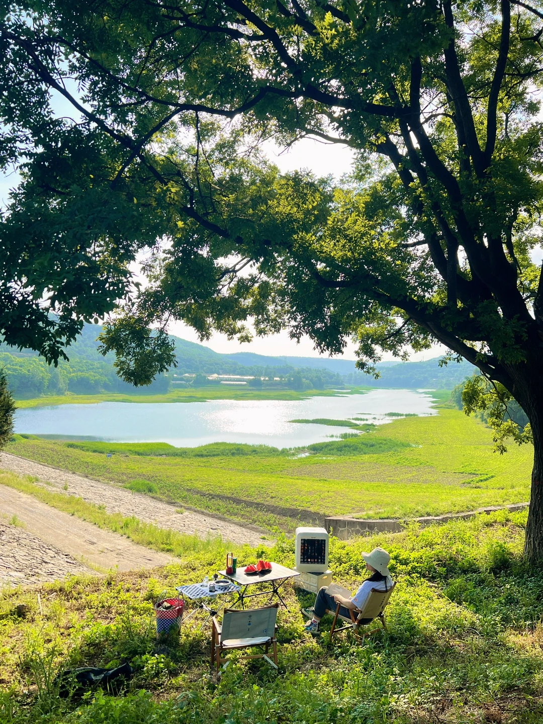西安1h❗️坐大树下看这片银蓝色的湖水🌿真美