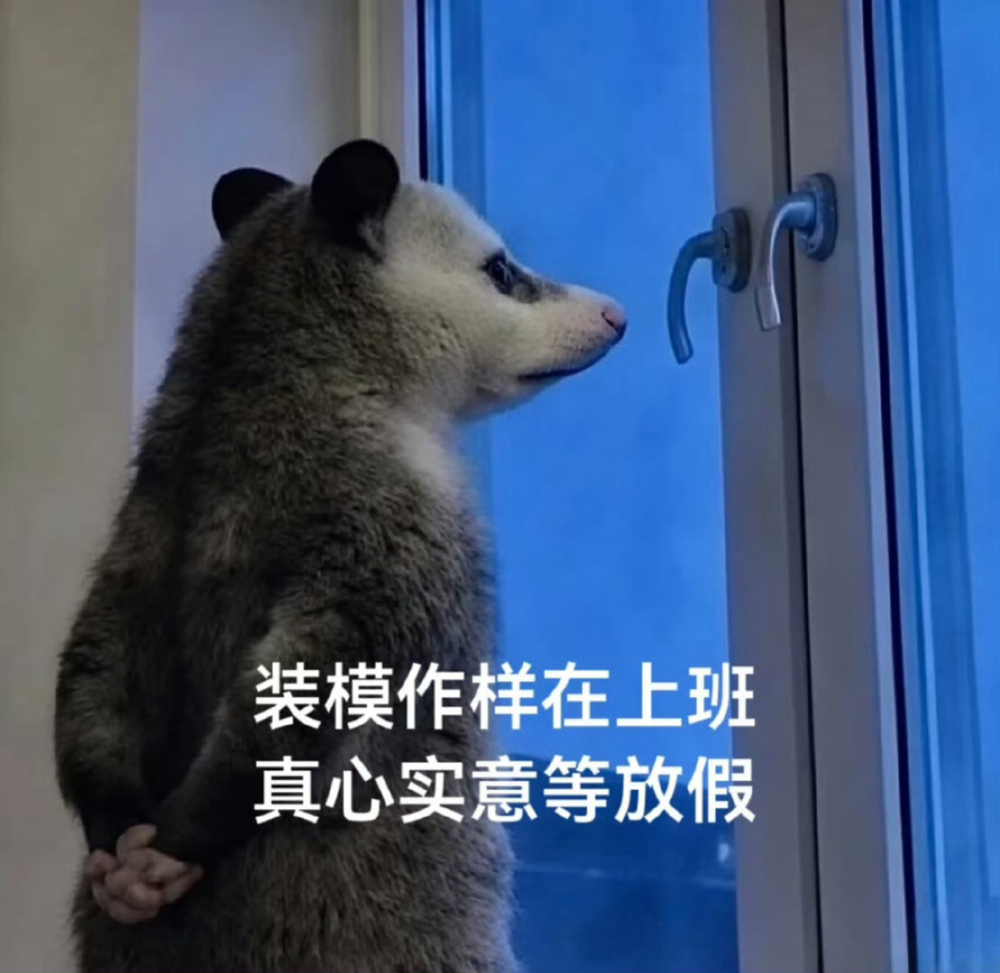 第一批聪明人堵在路上了[疑问]
我们还没出发，因为还没放假啊！学生们也没放学啊！ ​