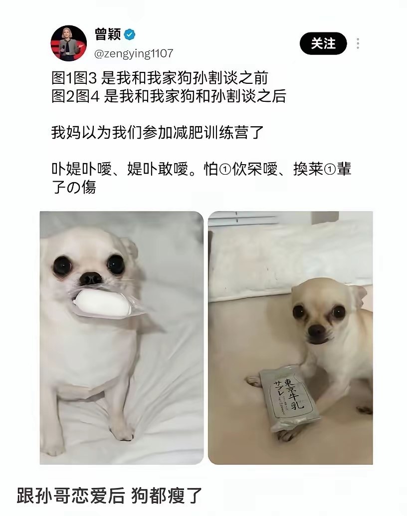 真是一物降一物！哈哈哈哈～～～看来曾颖对孙割是又爱又恨，这回终于出了这口恶气！真是奇葩的一对！谁也别笑话谁，绝配！
可怜了这条狗[允悲] ​