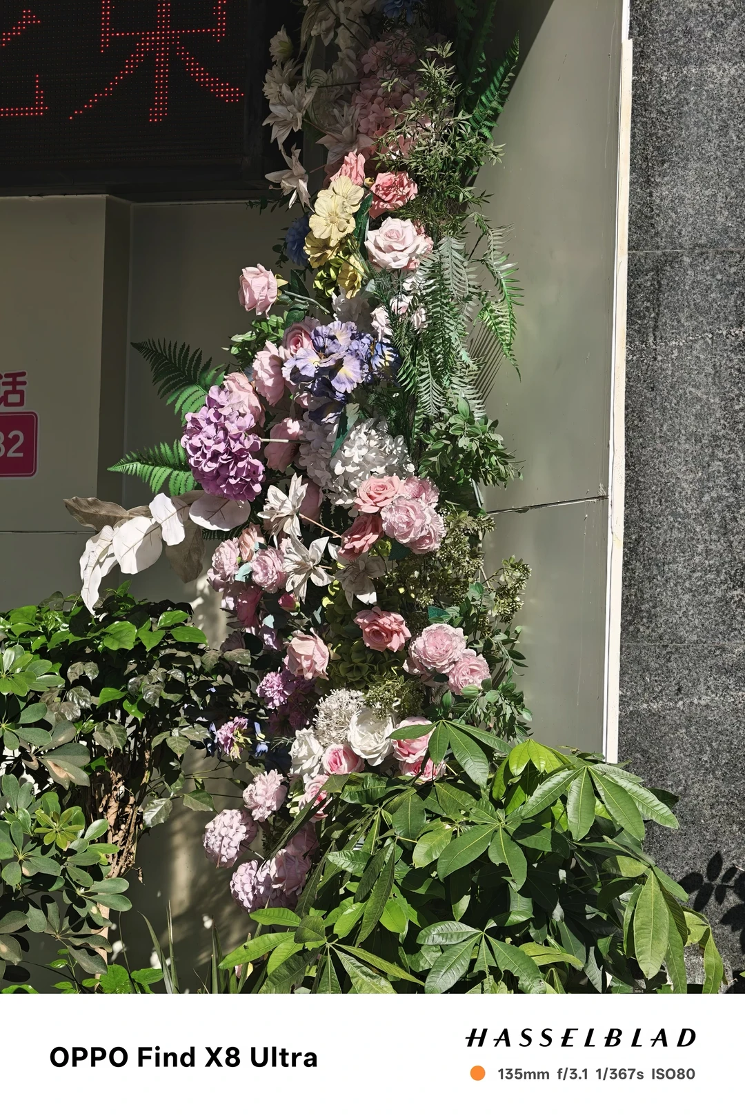 城市的角落，鲜花与绿植永远盛开。#OPPO原相机发力了#OPPO影像大赛#OPPOFindX10 #OPPO旅拍神器  #O粉会