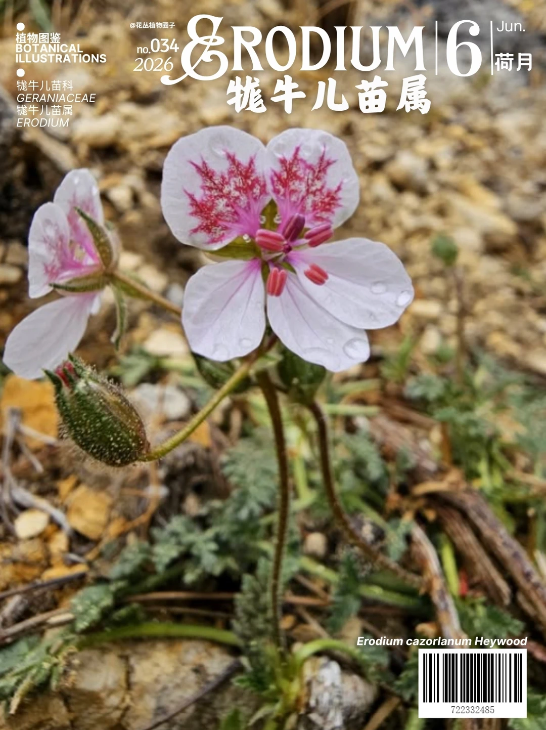 牻牛儿苗属 Erodium