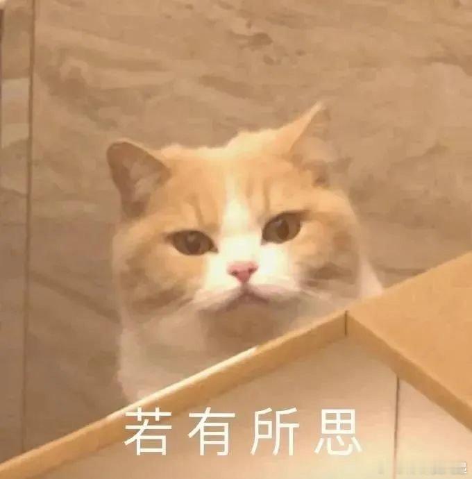 印度十几亿人同样冲不出世界杯，单纯发泄情绪解决不了问题。 ​​​