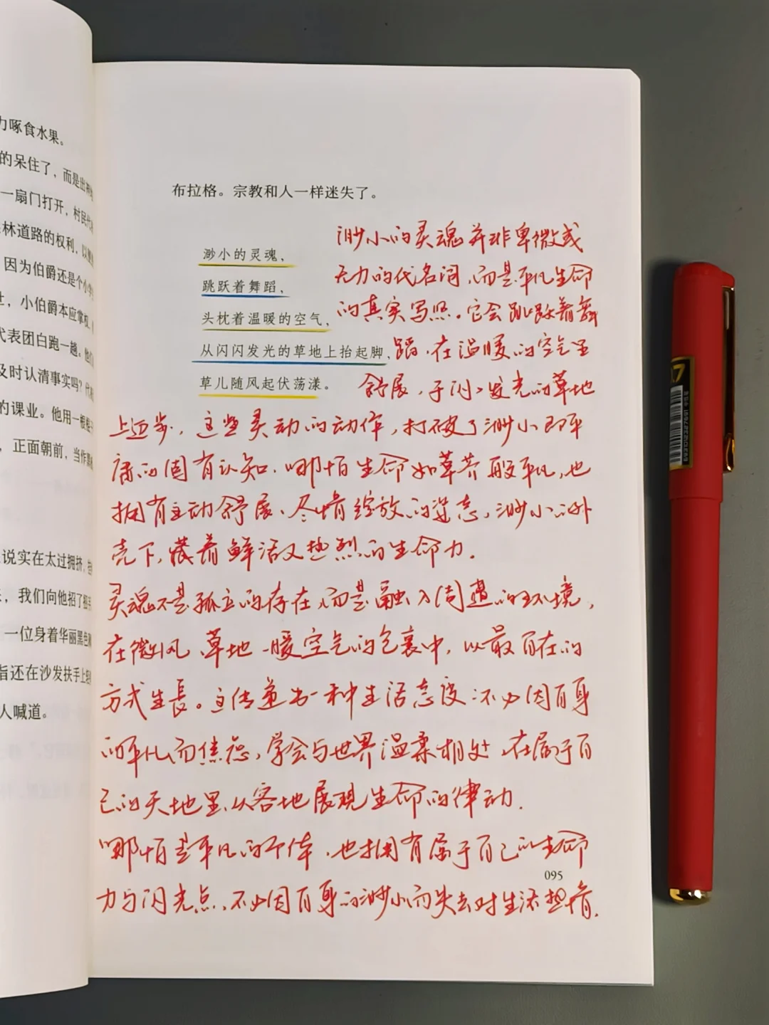 几乎是震撼着读完的一本书！！