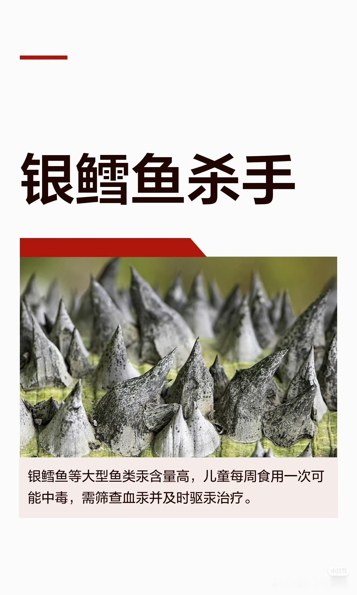 最近有个事挺受关注，说的是上海一位家长在网上发帖，说自己两岁的孩子长期吃盒马卖的一款“儿童装”银鳕鱼，吃了大概八个月，结果查出来汞中毒。

这位妈妈说，孩子每周吃两到三次，一周差不多吃一百一十克。医院报告单上写的是临床诊断“汞中毒”，血汞含量是27.87微克每升，而正常范围应该是小于10的。孩子后来