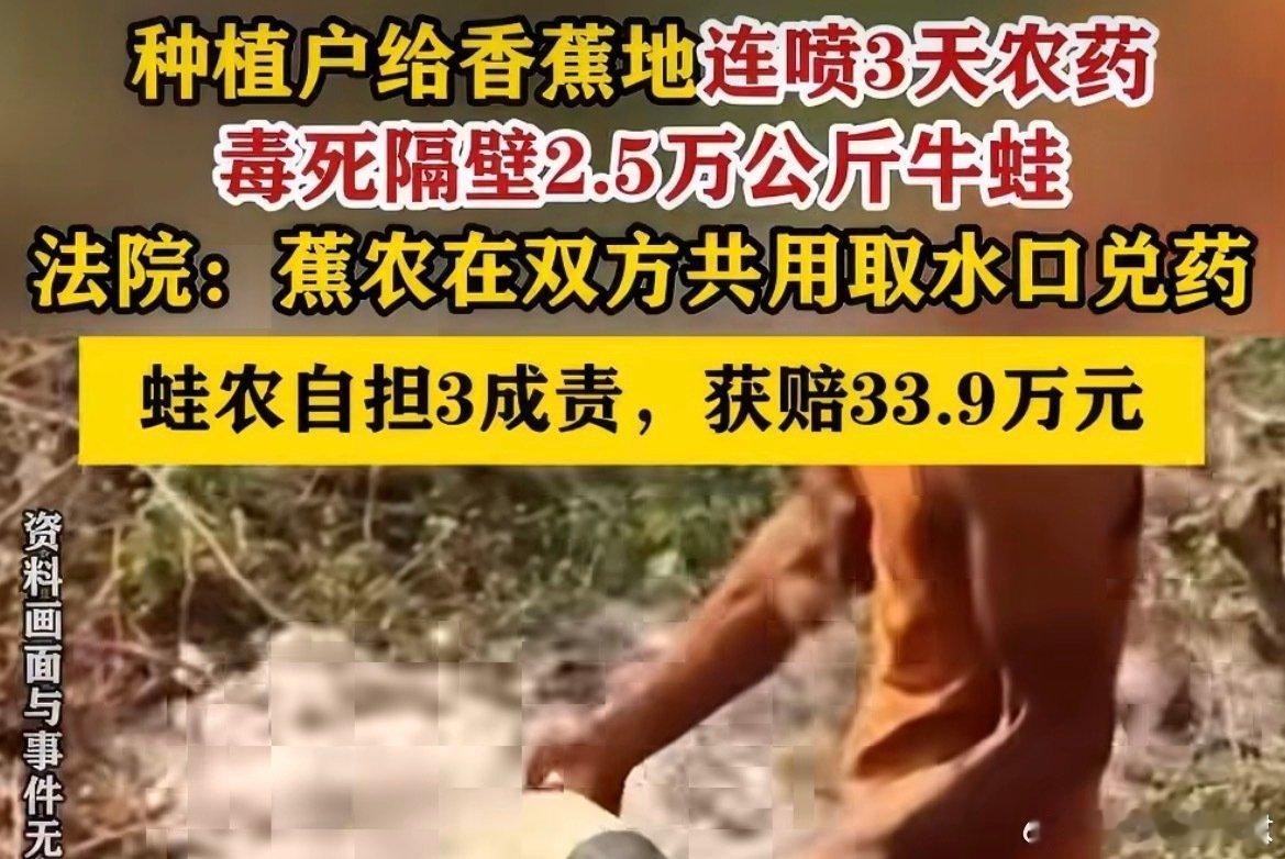 #香蕉地喷3天农药毒死隔壁5万斤牛蛙#把公共水库当农药稀释池，3天毒死5万斤牛蛙。判赔33.9万不仅是账单，更是边界：你的自由，止于别人的水源。 ​
