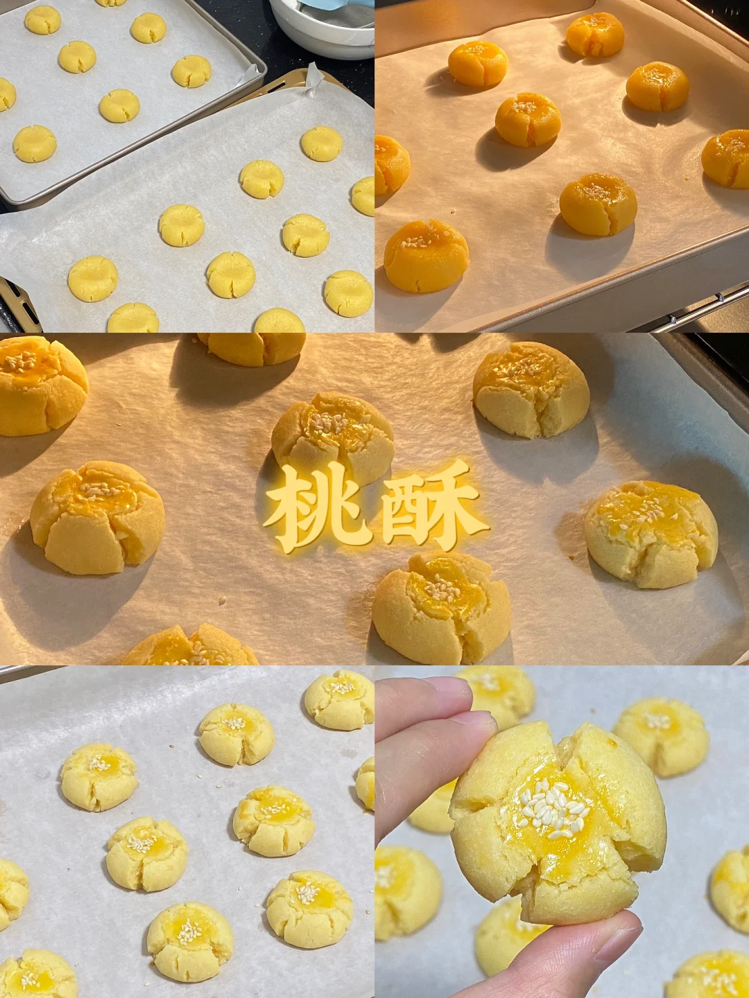 桃酥/附详细教程🌷