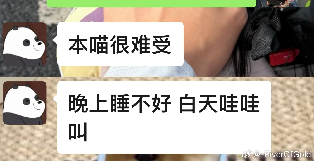 我对象该说不说 在耐心这块真是没说的 憨老公且有大耐心属于是
半夜两点我大喊一声说要抓虫子 他在睡梦中惊醒第一时间拿起拖鞋去打虫子
半夜我去急诊拍片子 我说不刷医保要走工伤 他说还是刷医保吧 我说不刷 检查完了没骨折我说不走工伤了给我改医保吧 但是需要重走一遍所有流程（先分诊再挂号、再去报 ​