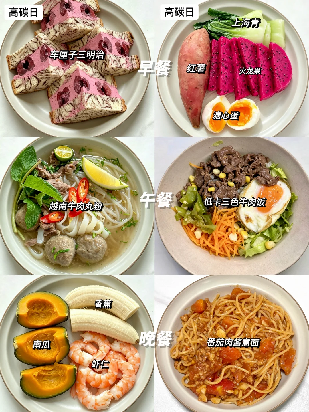 碳循环｜高碳日合集来啦