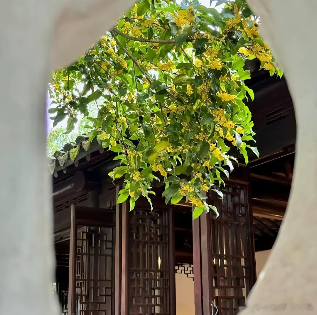 #靳东[超话]# 哥哥中秋快乐，我何时才能见到你
今晚的月亮又圆又亮，看着月色，就忍不住想起你。隔着很远的距离，我们共享这一轮月光，也算一种相逢
我常常会偷偷想象，如果有一天可以见到你，会是什么样子。不知道还要等多久，才有机会亲眼看看你
愿月光把我的小小念想捎给你，祝你平安顺遂，万事舒心 ​