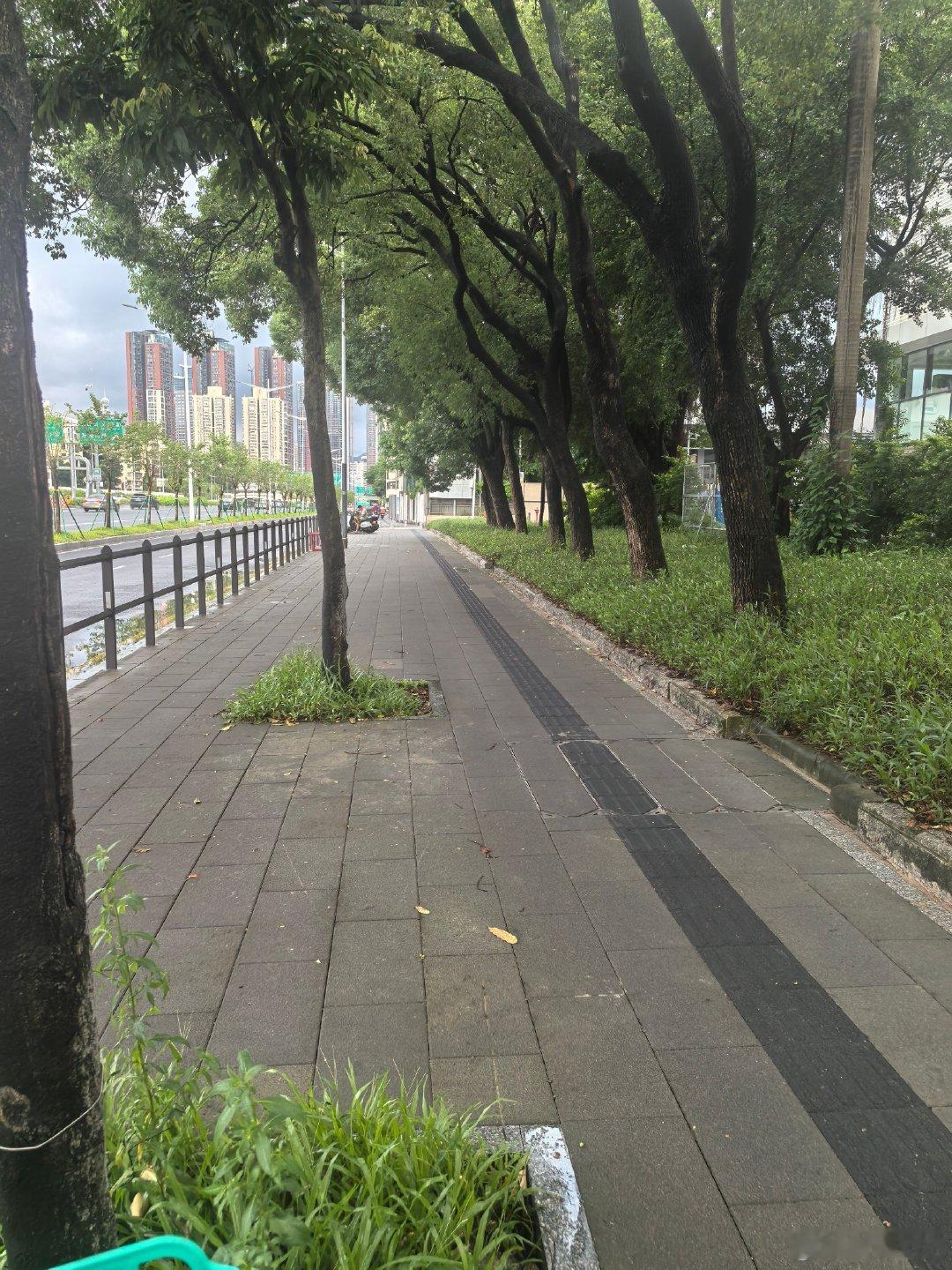 第一次被人追尾，车要进厂修十天[捂嘴哭]下班试着骑行回家，想起以前初高中骑行上下学的日子。啊，穿梭于闹市与马路小林间，也是有意思的～健康平安最重要啊[微风] ​