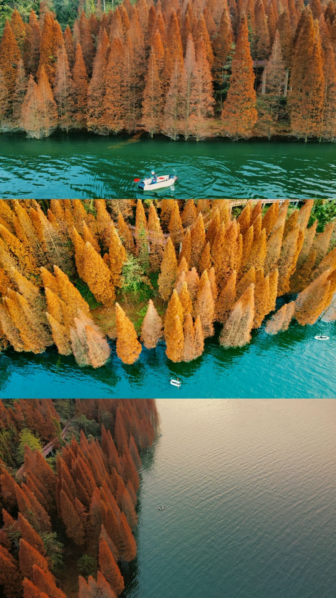 成都｜ 天凉好个秋  正是🚣🏻‍♂️ 好时光