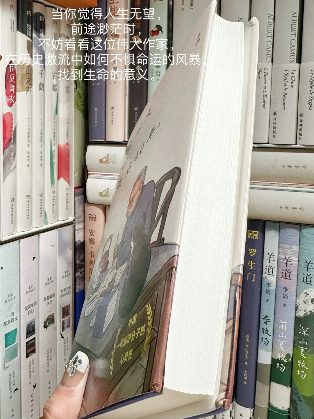 若你觉得人生困顿无望，请一定读一读沈从文