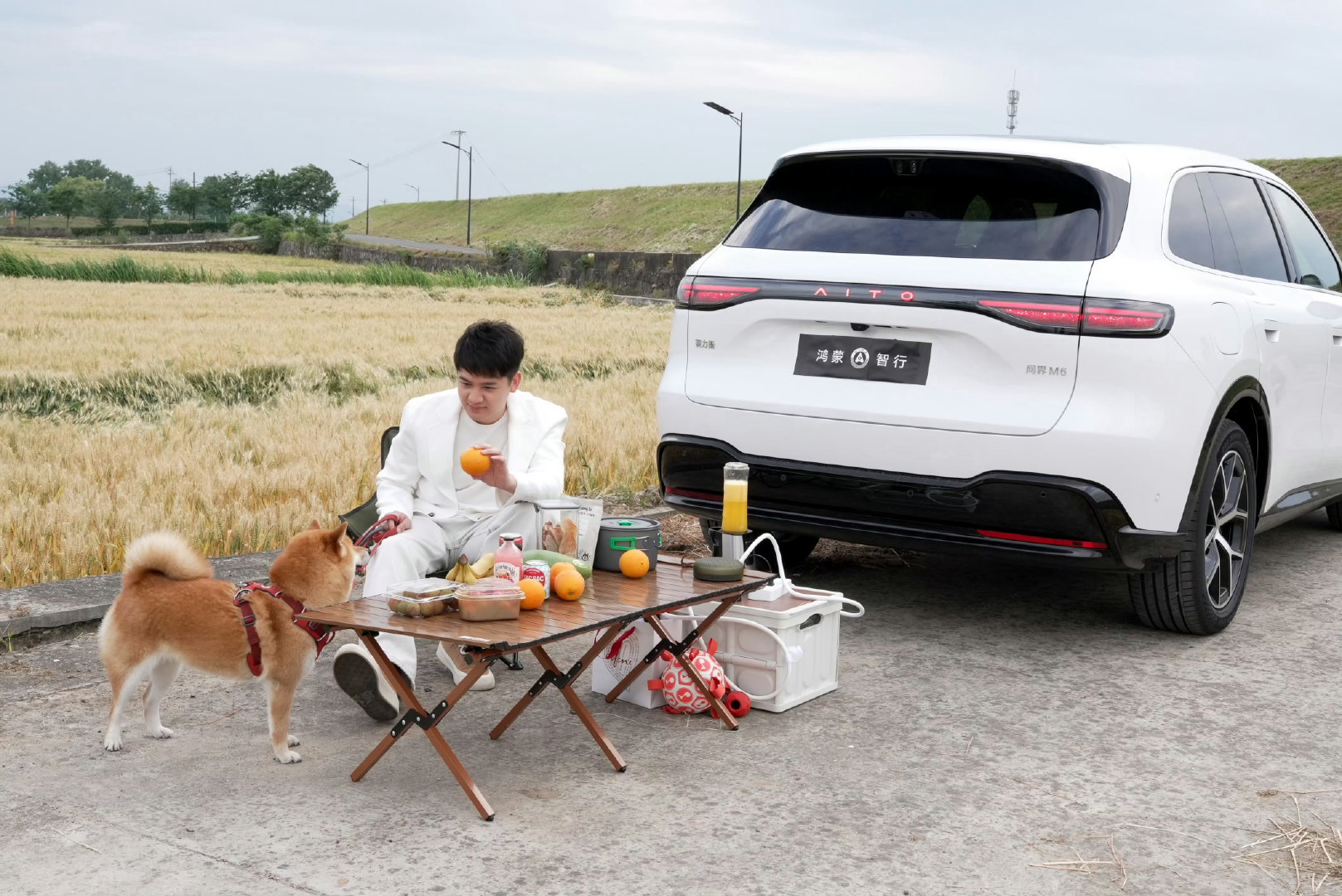 今年的提车就到此为止了，一共买了6辆车，华境S、问界M6、日产NX8、理想L6、蔚来ES9、小鹏MONA L03，你们最喜欢哪辆？

评论区来告诉我吧，三天后送一个OPPO磁吸散热器（图7）[yeah][yeah][yeah] ​ ​