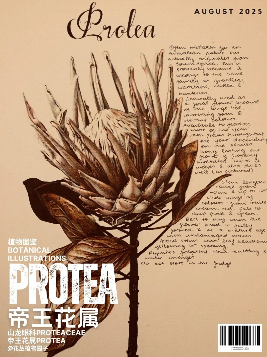 帝王花属Protea图鉴