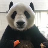 高干细说汽车啦