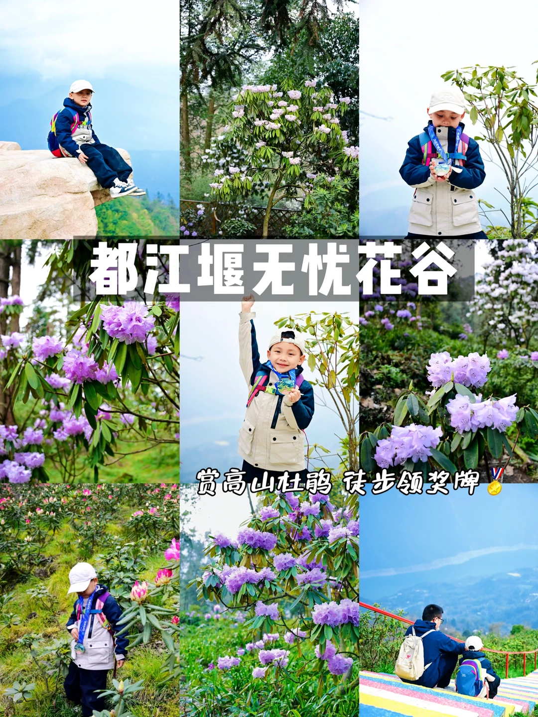 成都周边1.5h‼️亲子徒步无忧花谷赏杜鹃花🌸