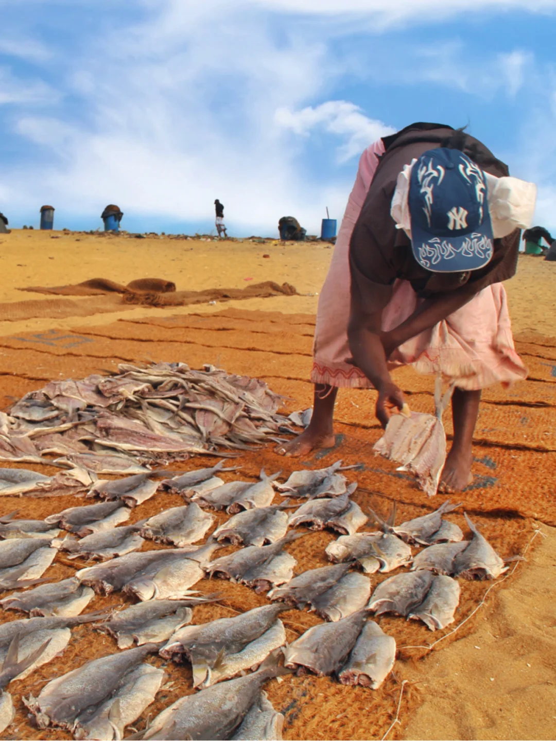 后悔❗️斯里兰卡【尼甘布】没有多留几天❗️