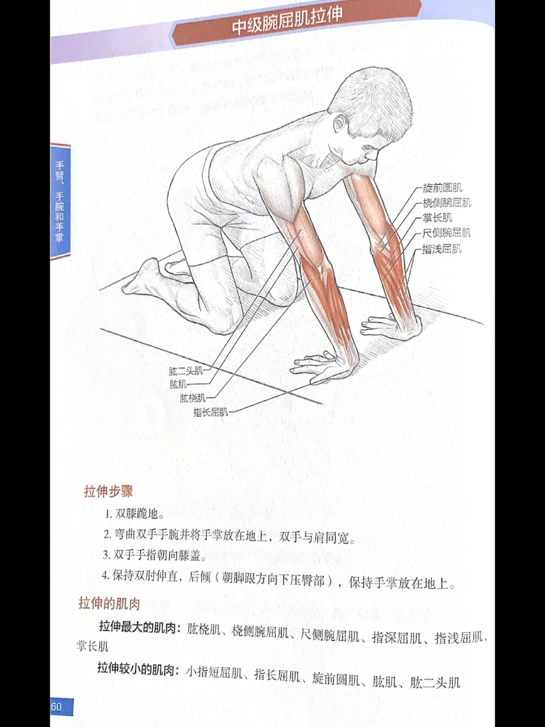 手臂肌肉拉伸｜告别粗手臂｜拉伸运动训练