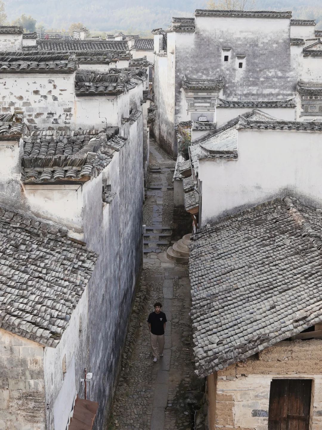 《国家地理》不欺我，这不愧为中式美学天花板