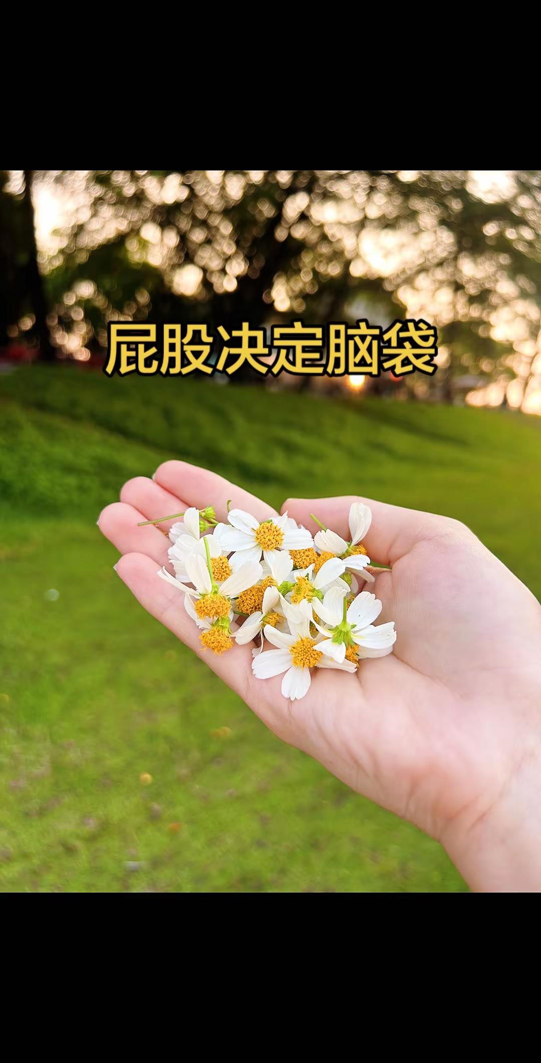 马刺还是太年轻了，关键失误&amp;绝杀不中，马刺主场再负尼克斯文班亚马 文班亚马隔扣 开拓者 马刺