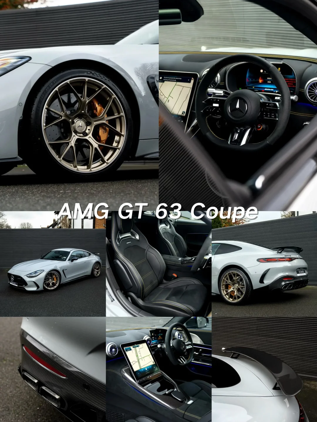 Mercedes-AMG GT 63 Coupe的十七张图