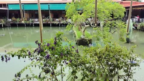 广东省中山市小榄镇东升在营海鲜饭店(农庄)主打海鲜粤菜。面积约5000...