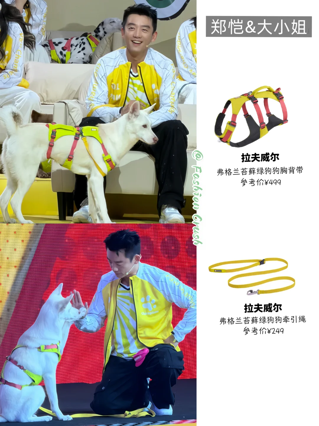 郑恺和大小姐同框互动，回忆又在攻击我🥹