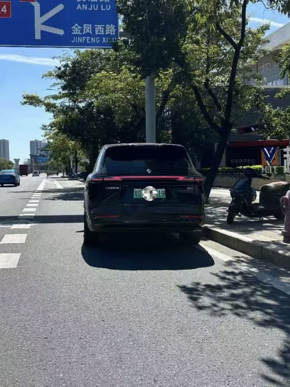 是谁在买华境Ｓ？路上经常看到！有劝退吗？
