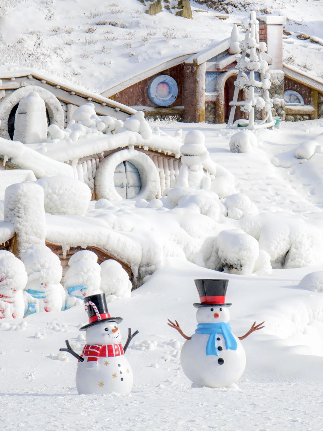 不是哈尔滨！江浙沪也有自己的冰雪大世界❄️