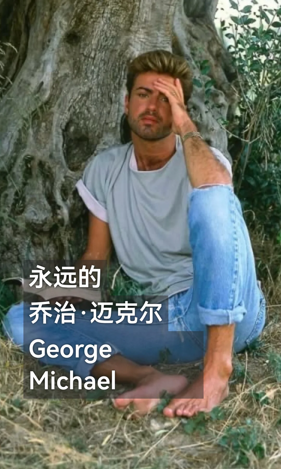 永远的乔治·迈克尔 George Michael