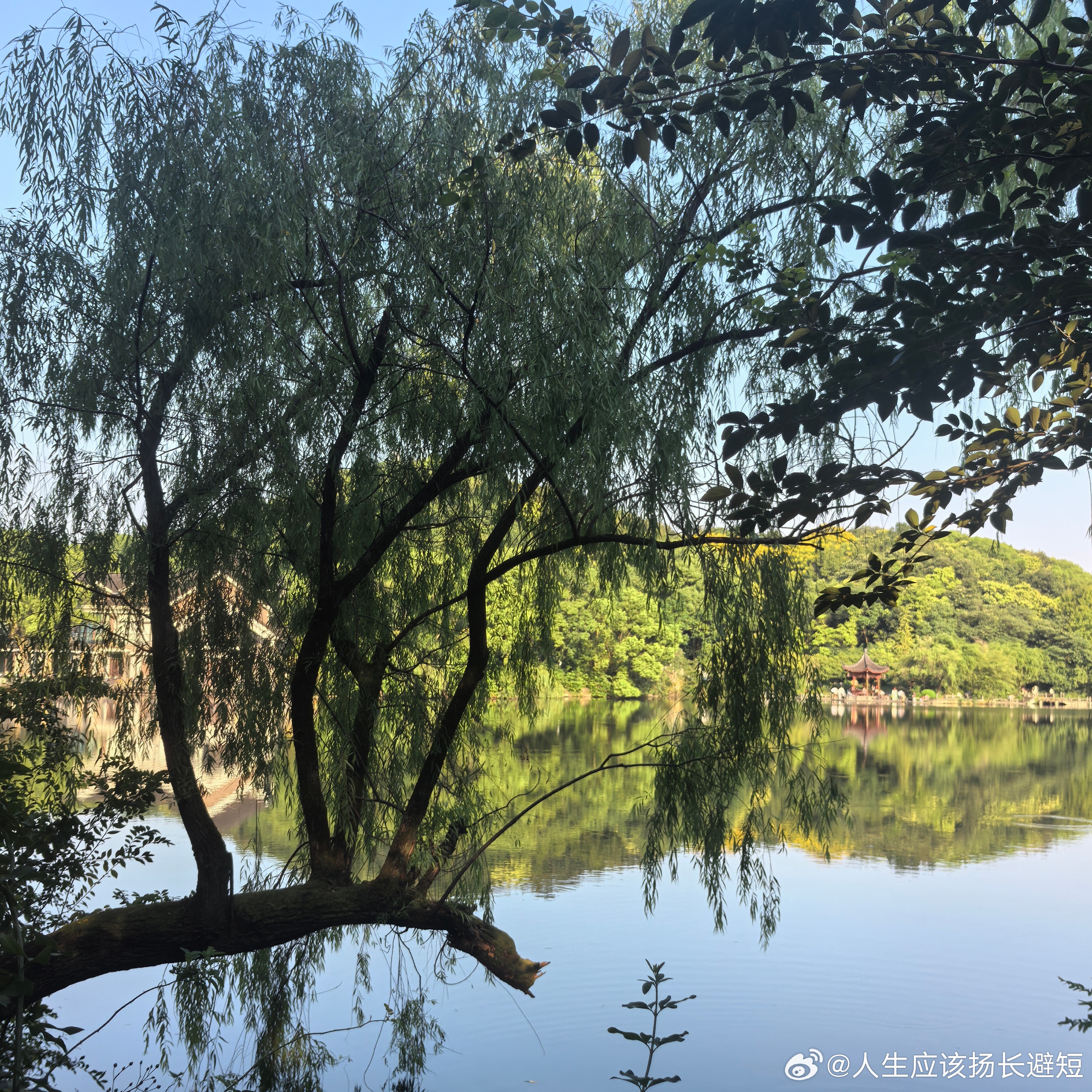 紫微斗数看项目真相：方案再好，也怕主事的人命格托不住不少老板都疑惑：思路没问题，资金也到位，商业计划面面俱到，开局占尽优势，到头来项目还是莫名其妙亏损。站在命理的角度，很多时候不是计划出错，而是操盘的管理层，命格和当下运势扛不住项目。真正决定项目能不能落地跑通，是负责执行落地的管理层。他就是带动项目前进的引擎。项目蓝图再好，引擎乏力，一样半路抛锚。能扛大事的管理者，命盘底子一定要稳。官禄宫格局扎实，有权禄加持，天生遇事沉得住气，能协调团队，顶住压力攻坚克难。如果一个管理者，官禄宫煞忌重重，根基虚浮。就算简历光鲜、口才出众，也容易身弱担不住重任，团队内部一团乱麻。命格过硬，还需要恰逢好运。管理层正在走好的大运，流年不错，那么做事情左右逢源，顺风顺水。如果管理层，处于倒霉运势，曾经能力出众，这段时期也容易决策失当，意外频发，大大小小的麻烦不断拖垮项目。现实里很多项目盈亏变化，往往就是换了一个负责人。一个赚大钱的项目，交到运势低谷的人手上，短时间就会订单下滑，内部矛盾爆发，由盈转亏。一个...