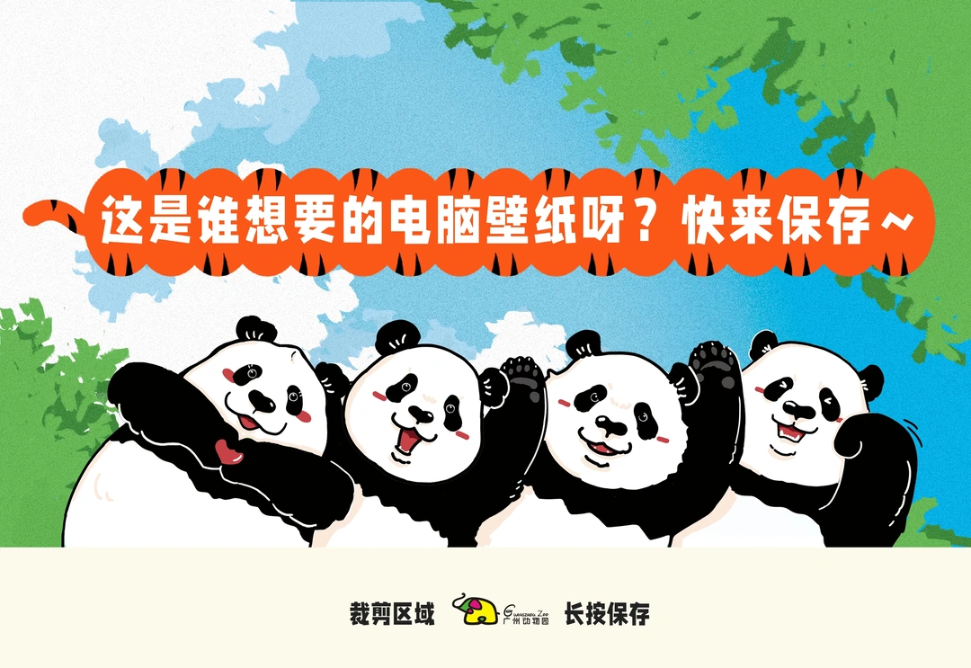 【长按保存二】解锁广动大熊猫电脑壁纸！💻🐼