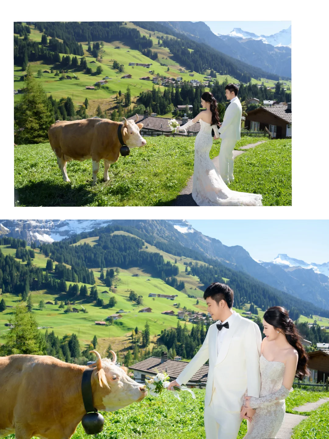 在瑞士🇨🇭拍婚纱照啦、童话里的牧场