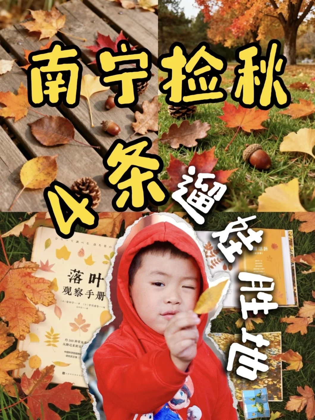 🍁南宁捡秋地图上线！遛娃宝藏路线快收藏