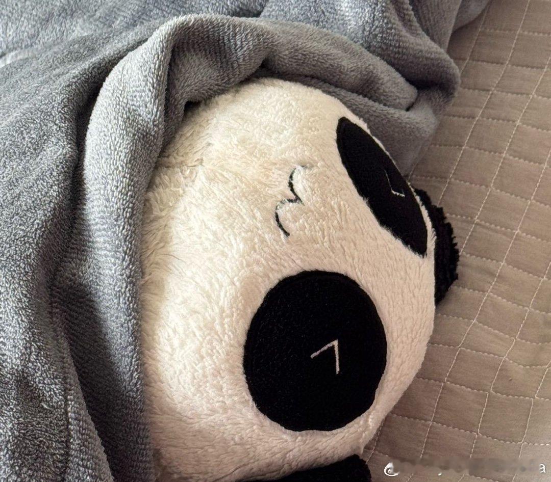 邪恶小熊猫：“前路漫漫，你我同行” ​