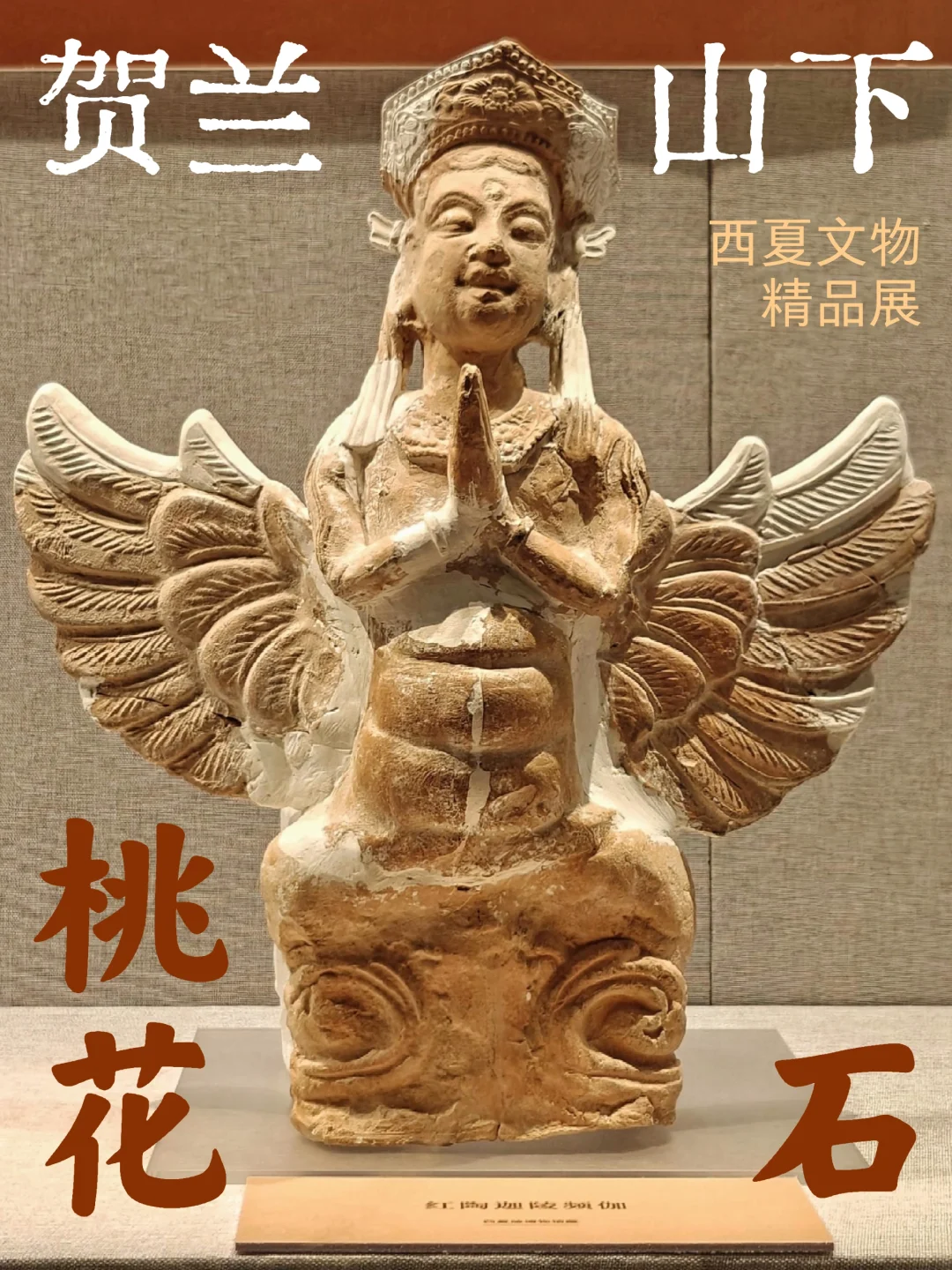 五一魔都看展好去处！上历博西夏文物精品展