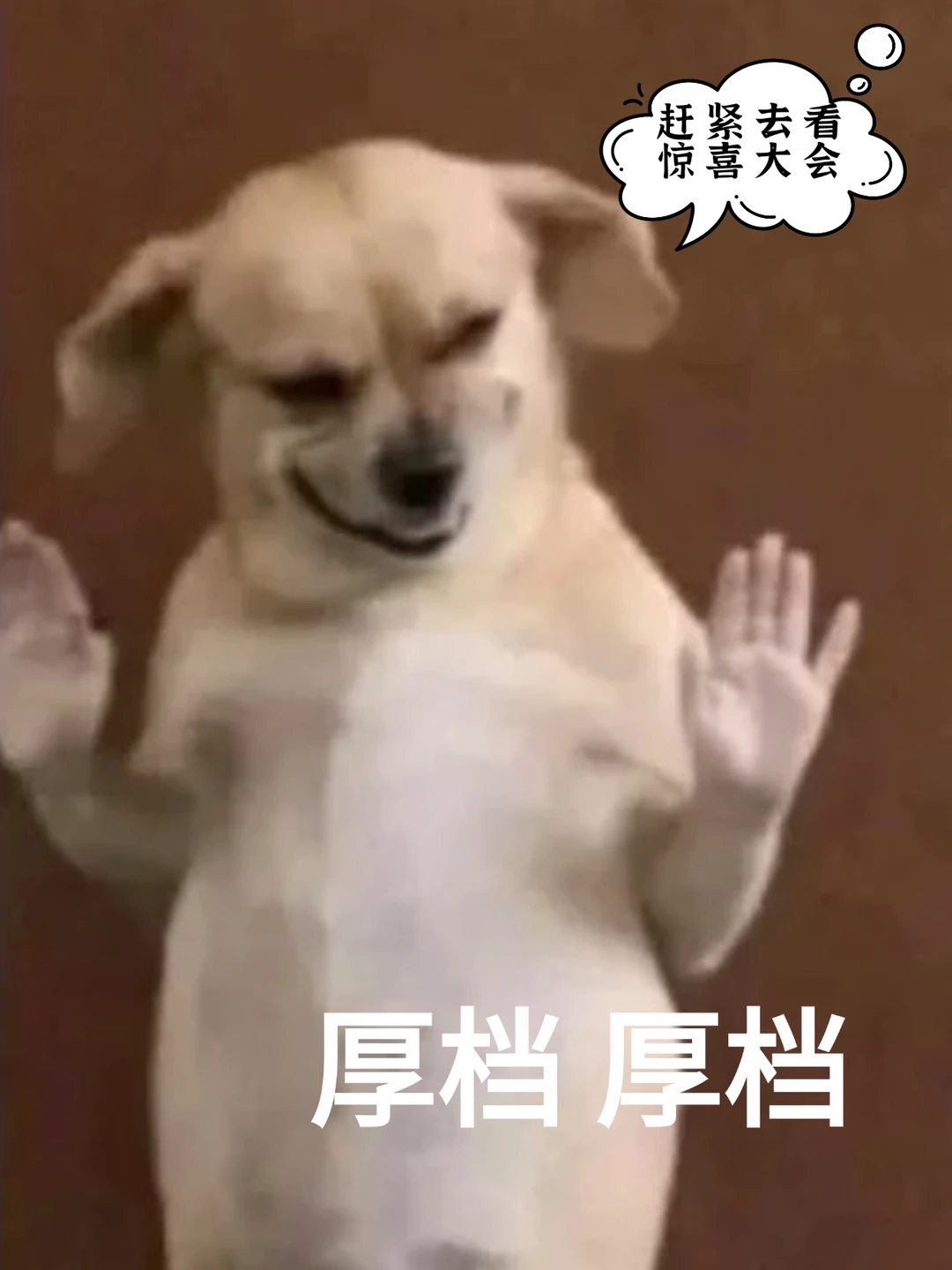 东福民宿不只是情怀，笑点同样在线
