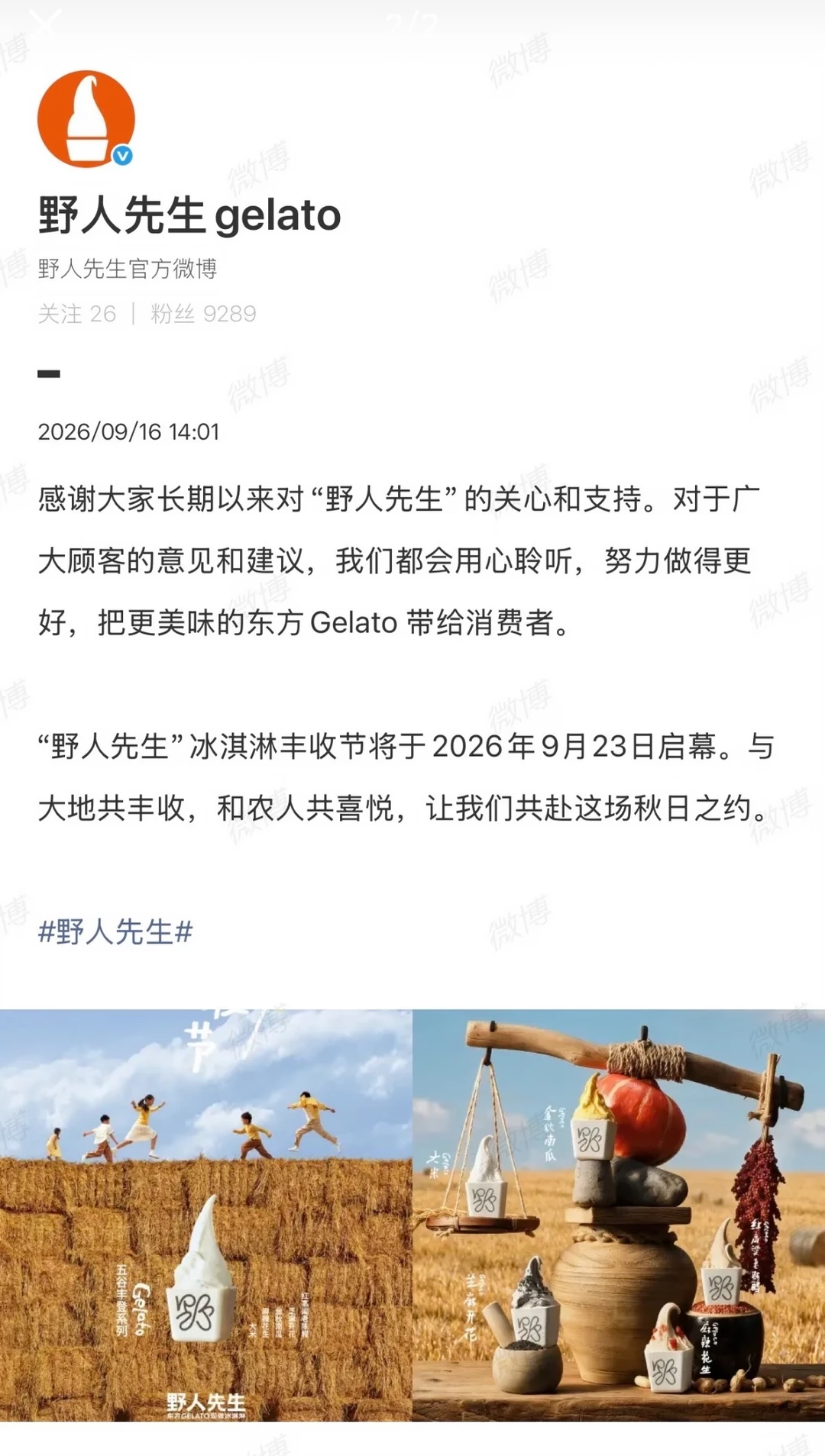 野人先生终于回应罗永浩了