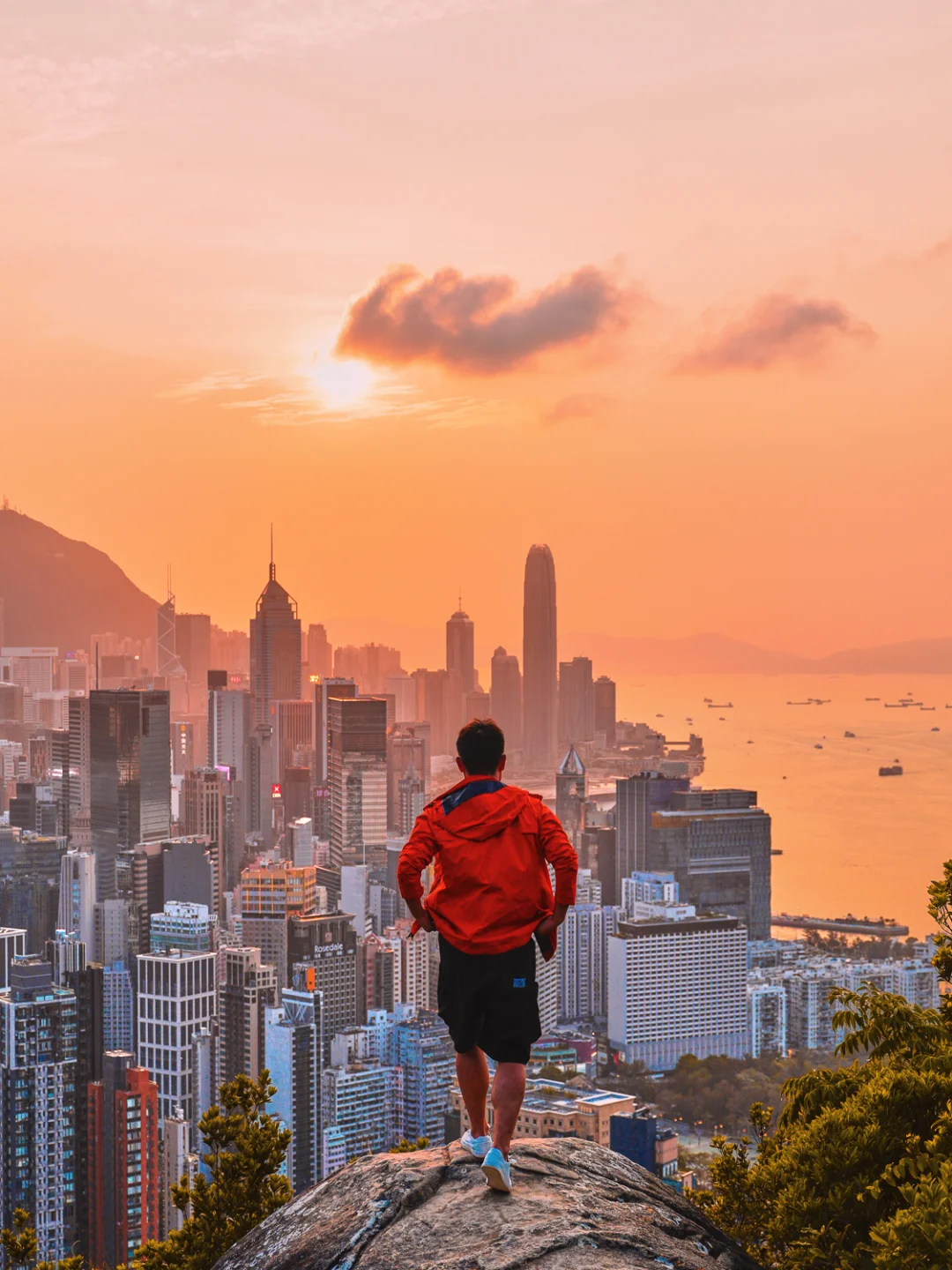 为了这1⃣️5⃣️图，我特意飞了一趟香港